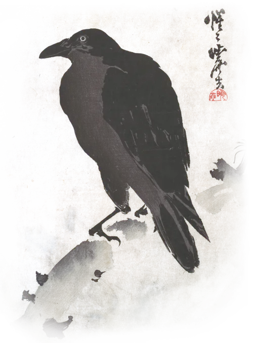 A picture of a crow